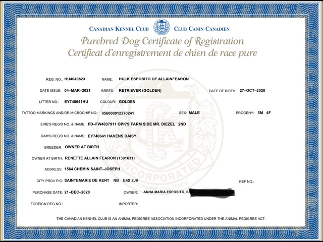 Club Canin Canadien(CCC)