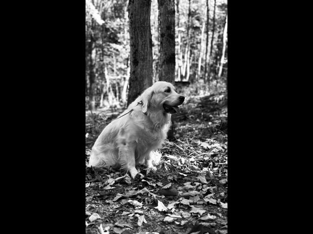 KAYA image 1