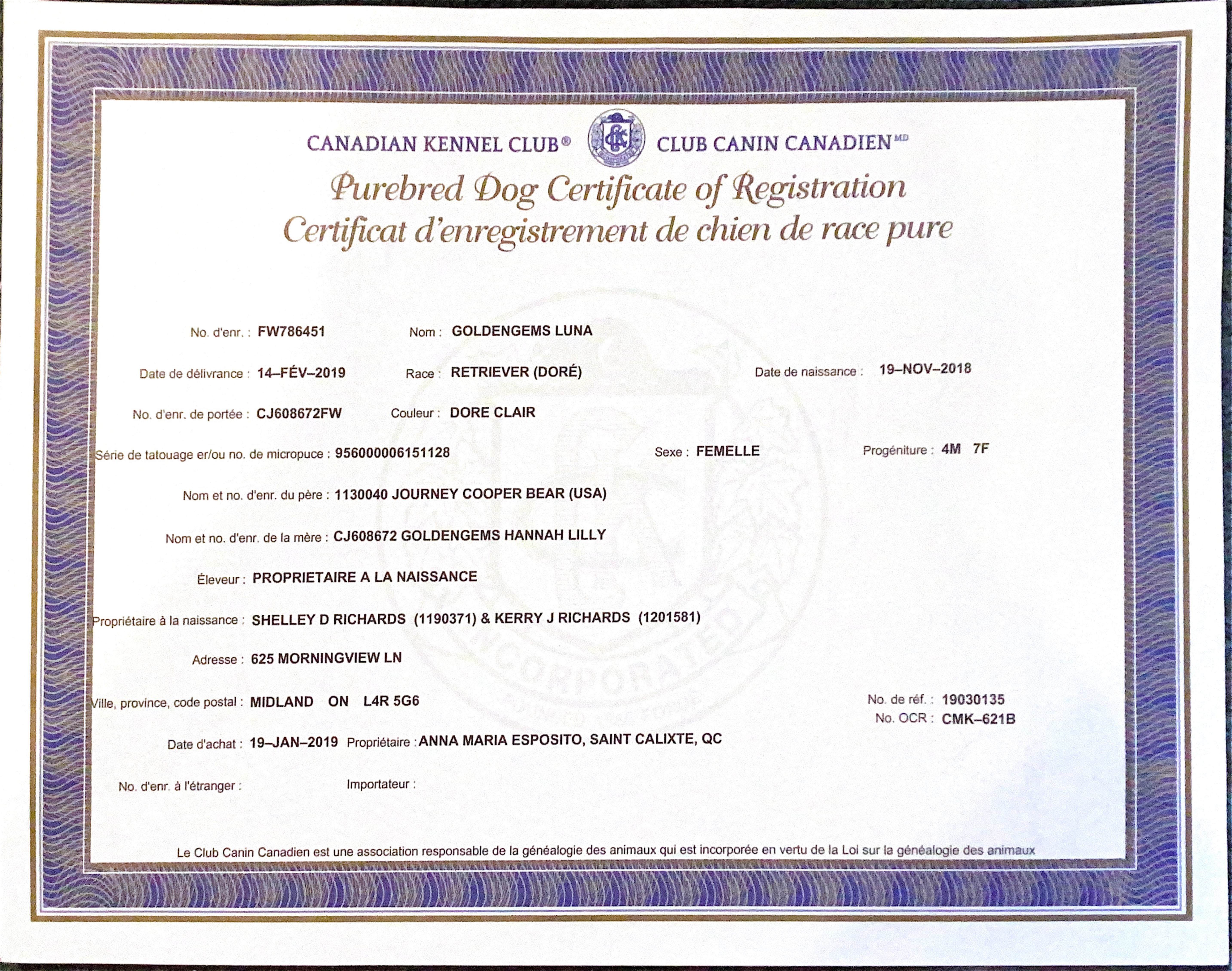 Club Canin Canadien(CCC)