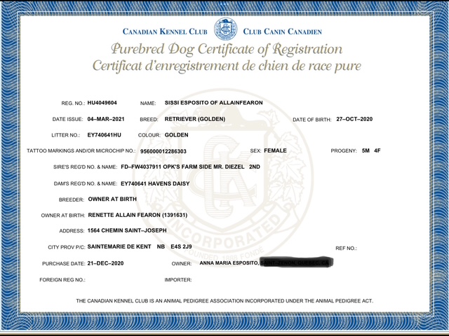 Club Canin Canadien(CCC)
