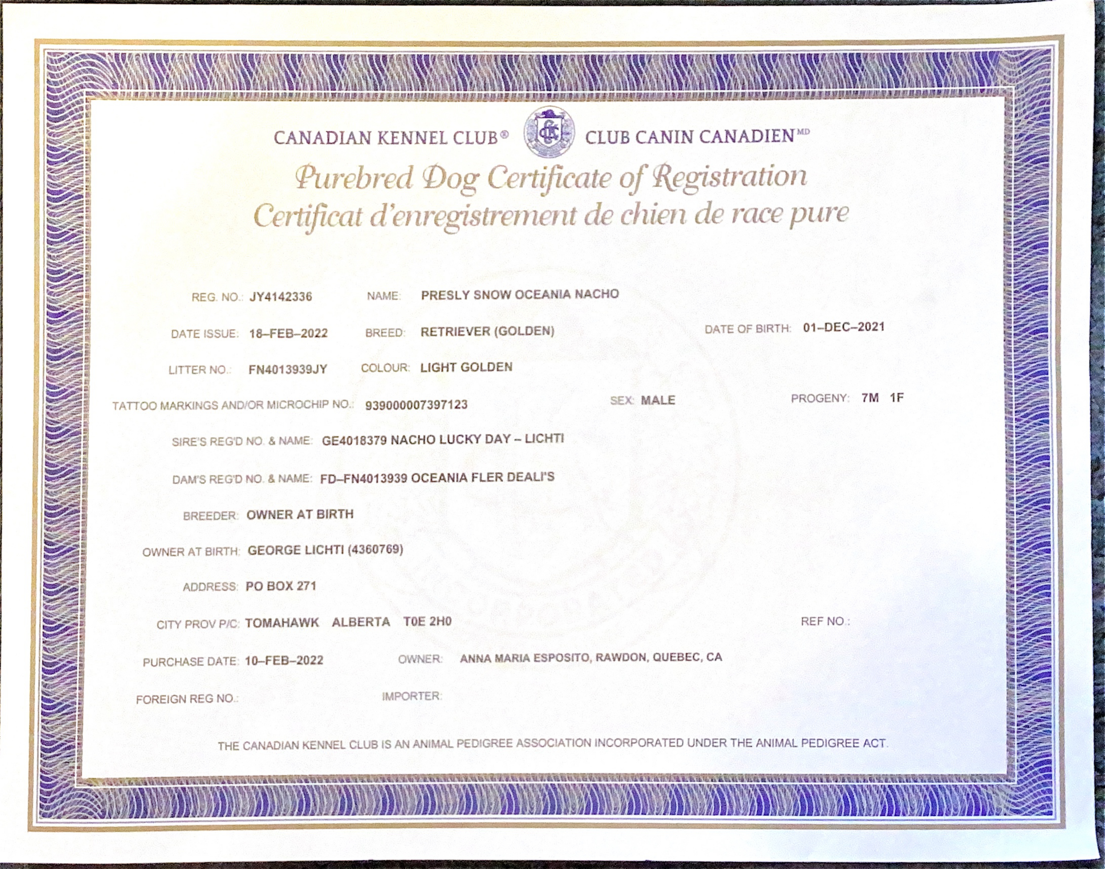 Club Canin Canadien(CCC)